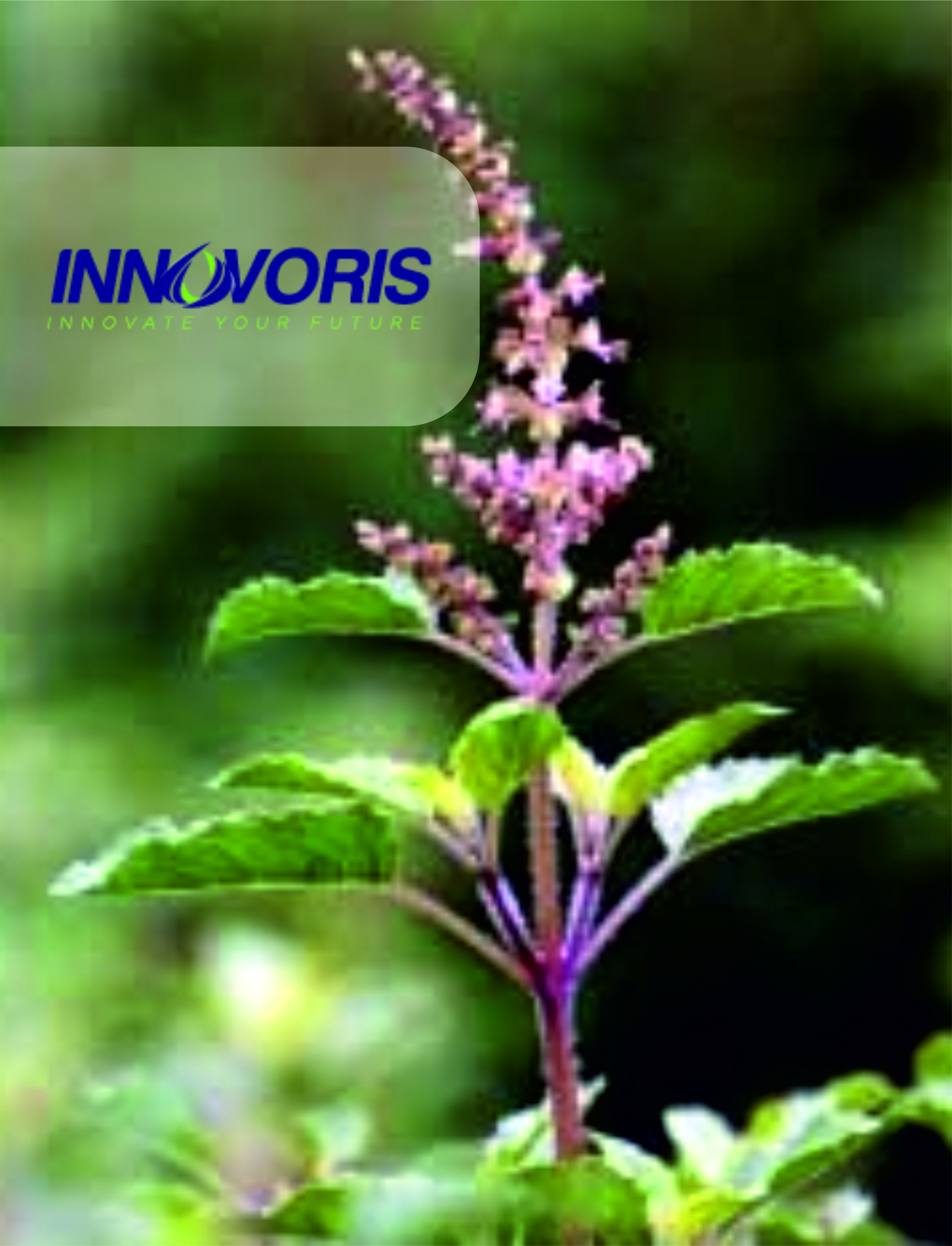 innovoris-labs