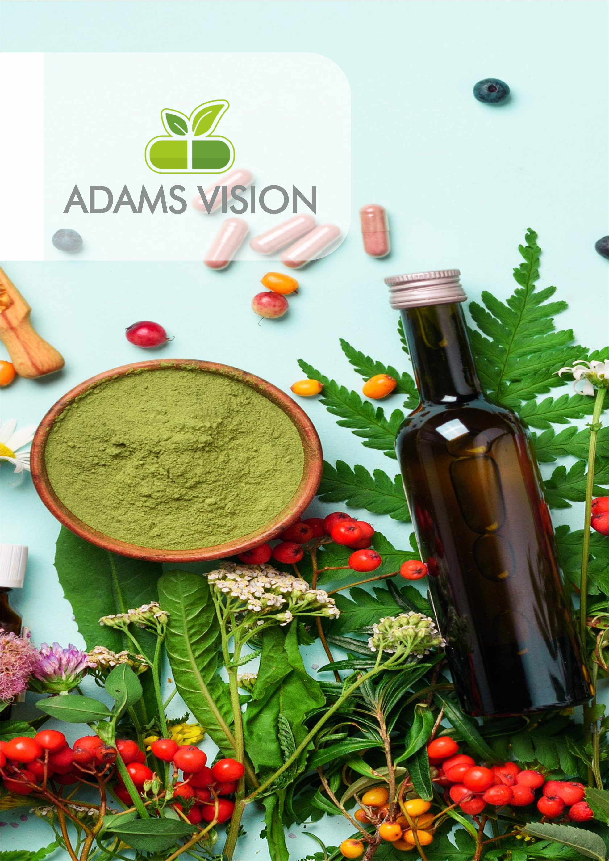 adams-vision