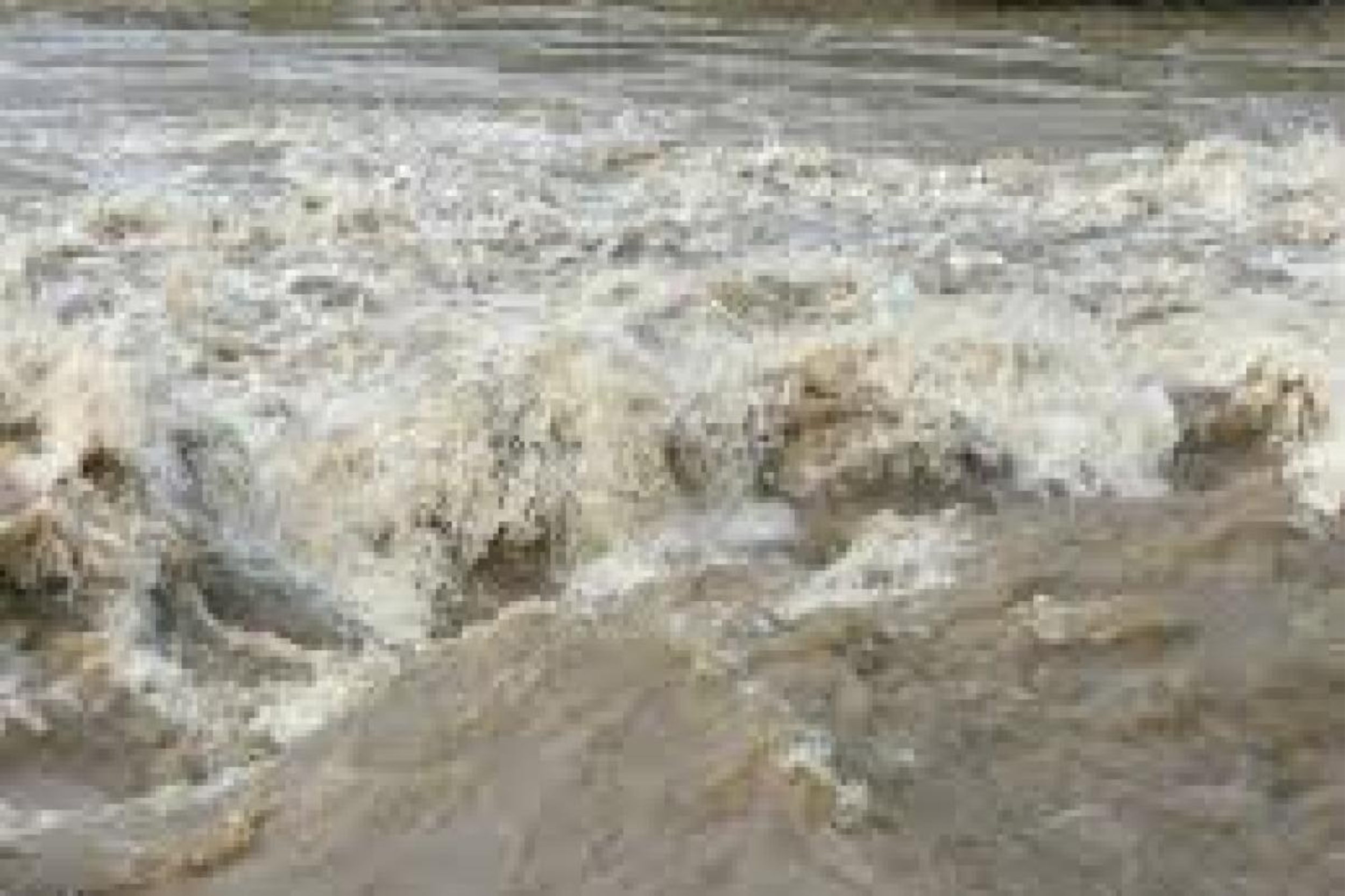 Cine ar trebui să plătească pentru o catastrofă climatică?