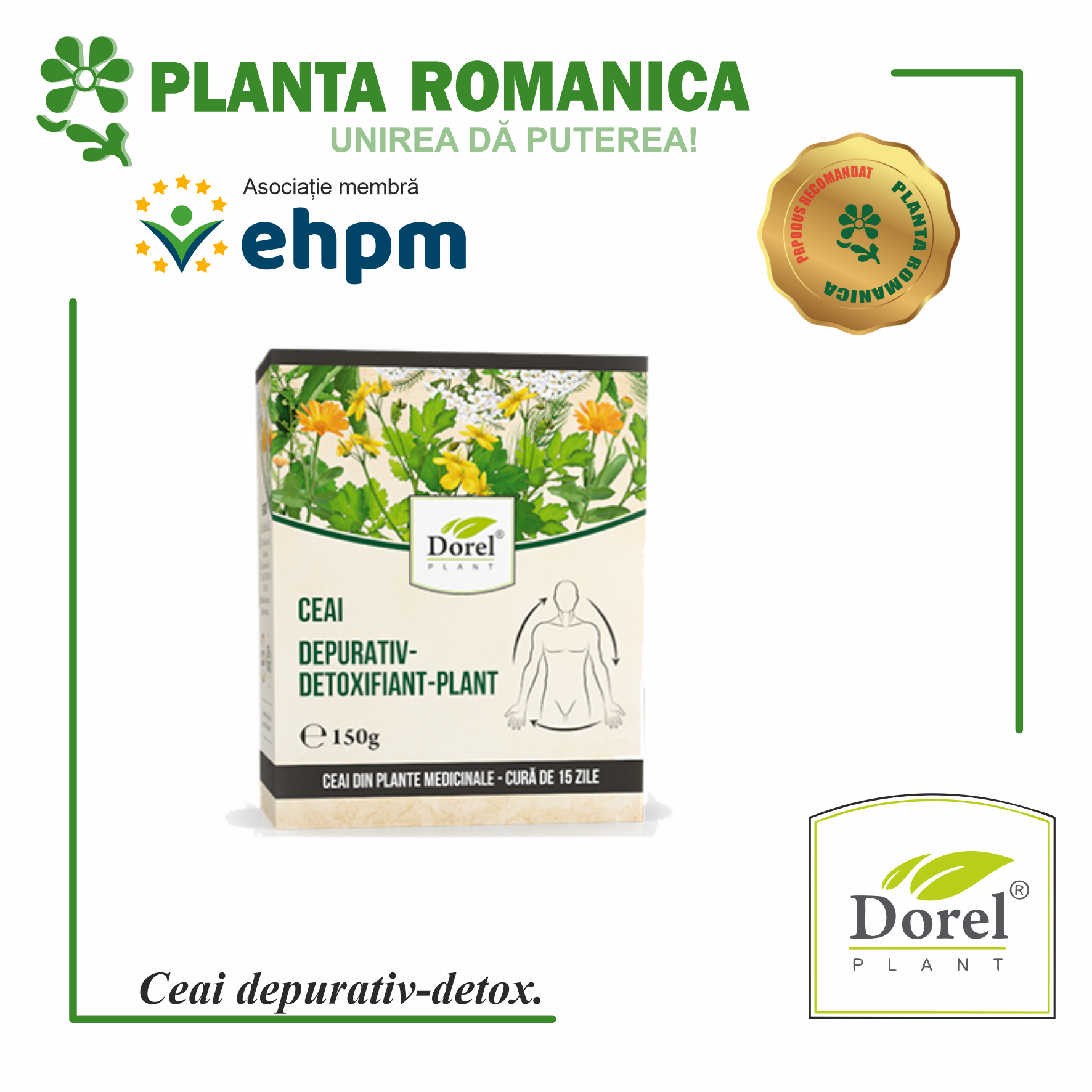 ceai-depurativ-detoxifiant-plant-dorel-plant